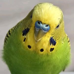 开心～就好头像