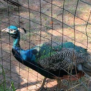 ༄怦然心动࿐头像