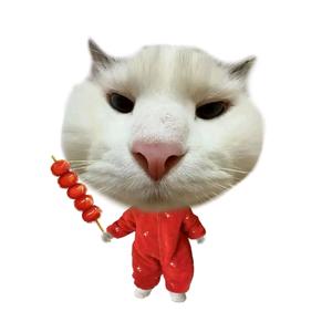 追光小太阳头像