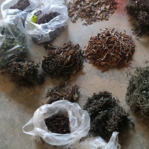 原来的农机人，现在的山上野草人头像