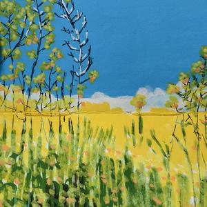 清风若语(沭阳)头像