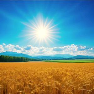 平安喜乐伴朝霞头像