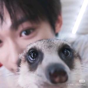 小张今天也超级快乐头像