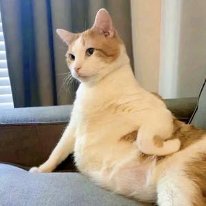 未雨绸缪缪头像