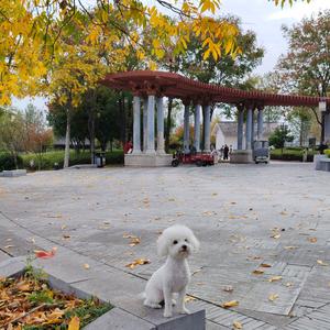 旺仔与旺旺生活日常头像