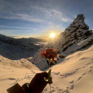 帆哥（fps老玩家）头像