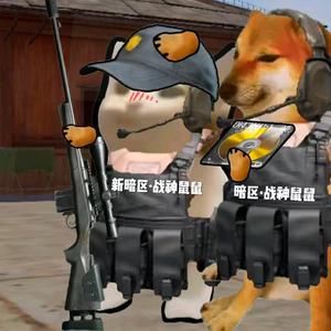 暗区·战神鼠鼠（被流中）头像