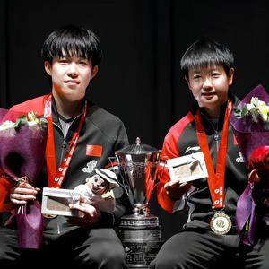 奔向太阳（见过莎头版）头像