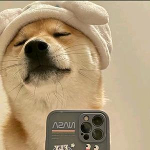 钢筋翻样陈工头像