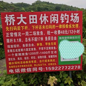 桥大田休闲钓场头像