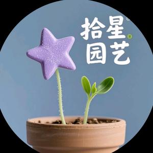 拾星园艺头像
