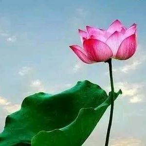 我就喜欢这个头像