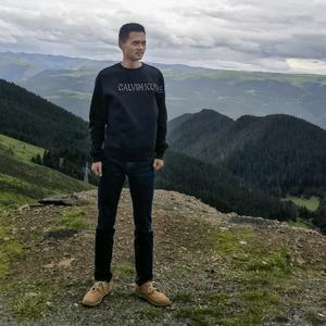 狗哥来到了侠客岛头像