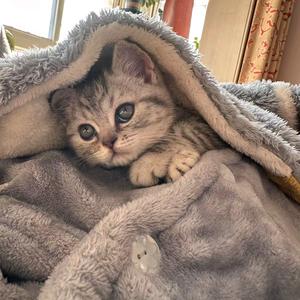 冷风吹着脸头像