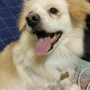 传播正能量头像