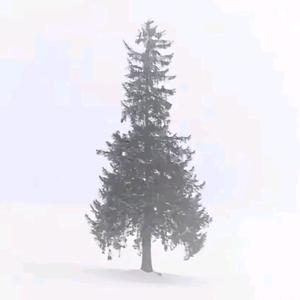 难渡清越、头像