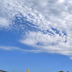 Notre convenir头像