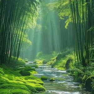 清枫头像