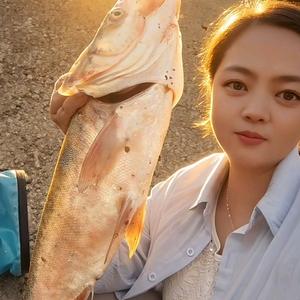 赵小柒去钓鱼ꦿ᭄࿐头像