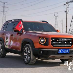 晋中哈狗邦-伟伟头像