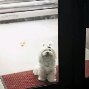 马达（新手健身教学）头像