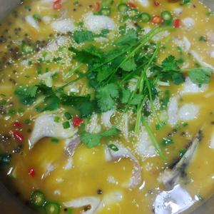 蜀乡豆花鱼官方号头像