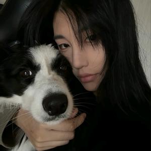 小狗放屁太多导致地球污染头像