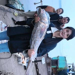 舟山毛毛海鲜头像