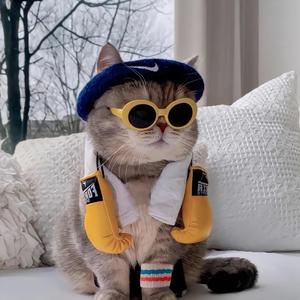 夹心吐司面包头像