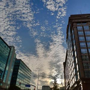 栗子侃历史头像