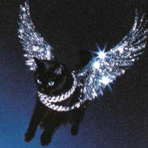 TOP登陆少年-朱志鑫头像