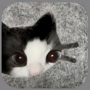 小宁檬🍬🔥头像