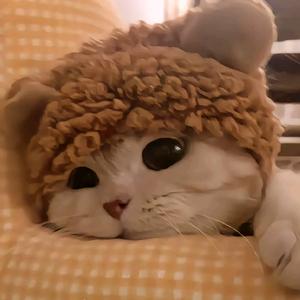 快乐加载中♡%头像