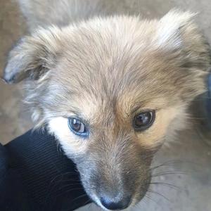 面包大王🍞头像