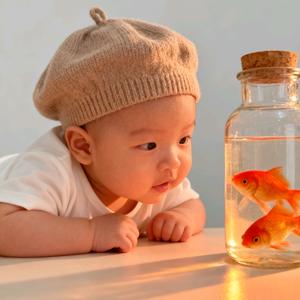 莫愁蛋的成长记头像