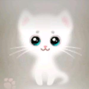 *慧*冰*乐*苒*（超市家居）C头像