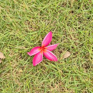 遇-喜（暖洋）头像