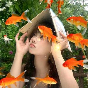 云间小锦鲤头像