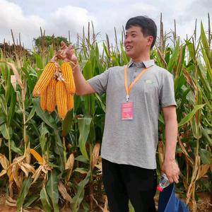 小万助农 （红飞）头像