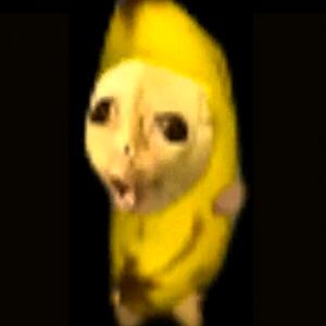 元宝科尔鸭头像