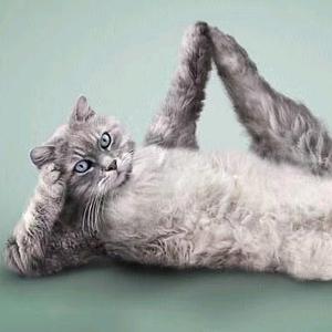 老老老老老四呀头像