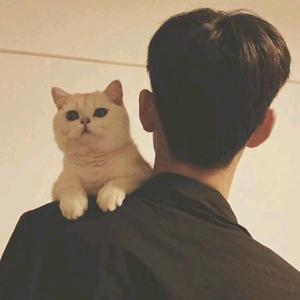 🔥🔥苏陌年🔥🔥头像