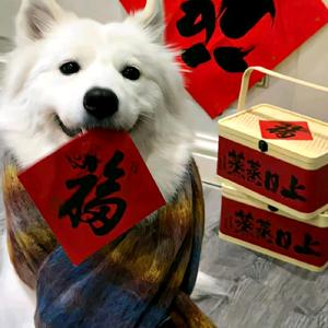 春节倒计时头像