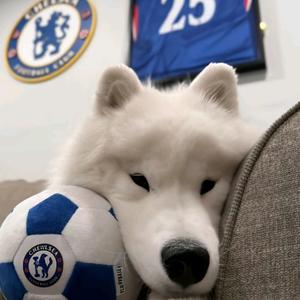 NO.99 记住周纯头像