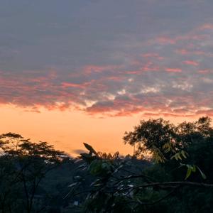 小程生活感悟头像