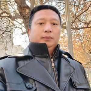 龙游天下、河北头像