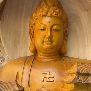 纯一个网友。头像