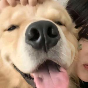 养不到可卡布不改名头像