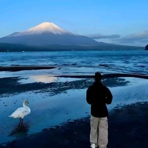 烂片之王大笨猪头像