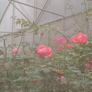 张群👩‍💼头像